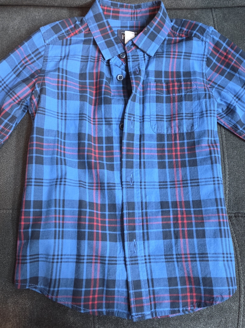 The Children's Place Blue Plaid Button-Down Shirt with Red Accents